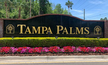 Tampa Palms III - Area 3
